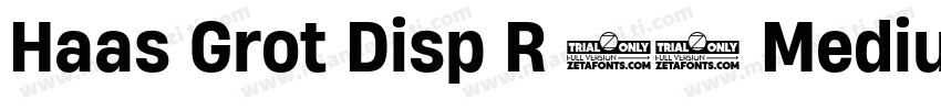 Haas Grot Disp R 65 Medium字体转换